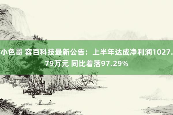 小色哥 容百科技最新公告：上半年达成净利润1027.79万元 同比着落97.29%