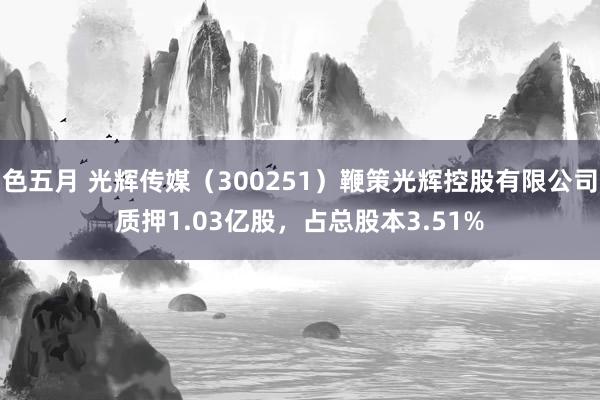 色五月 光辉传媒（300251）鞭策光辉控股有限公司质押1.03亿股，占总股本3.51%