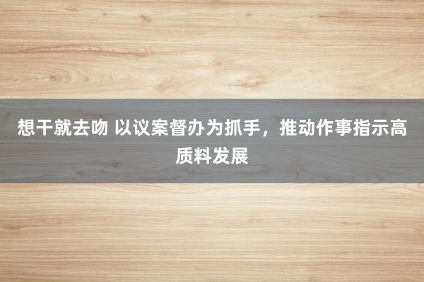 想干就去吻 以议案督办为抓手，推动作事指示高质料发展