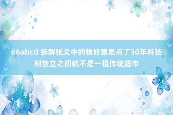 66abcd 拆解张文中的物好意思点了30年科技树创立之初就不是一祖传统超市