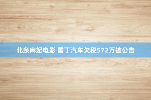 北条麻妃电影 雷丁汽车欠税572万被公告