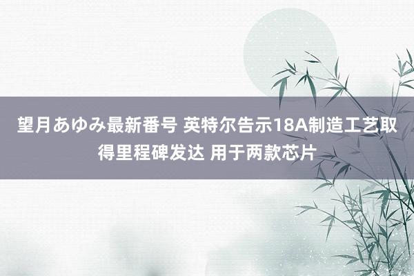 望月あゆみ最新番号 英特尔告示18A制造工艺取得里程碑发达 用于两款芯片