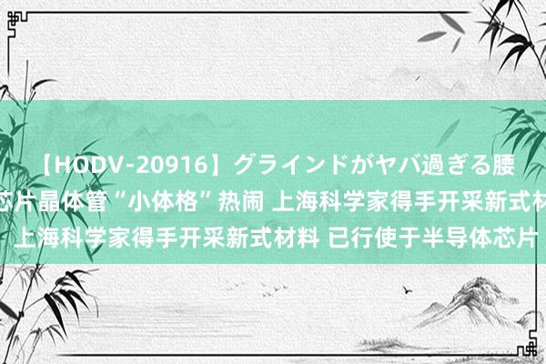 【HODV-20916】グラインドがヤバ過ぎる腰振り騎乗位 4時間 贬责芯片晶体管“小体格”热闹 上海科学家得手开采新式材料 已行使于半导体芯片