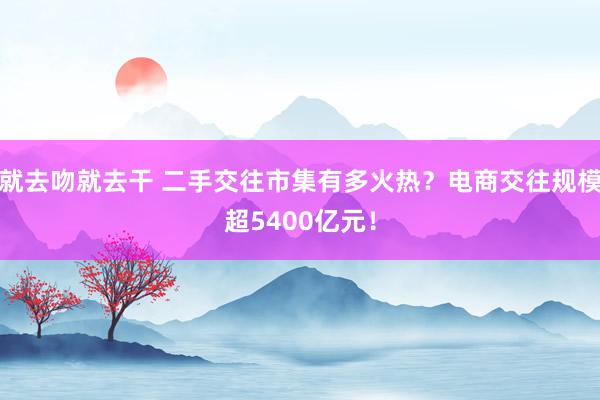 就去吻就去干 二手交往市集有多火热？电商交往规模超5400亿元！