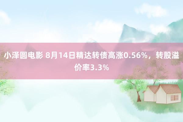 小泽圆电影 8月14日精达转债高涨0.56%，转股溢价率3.3%