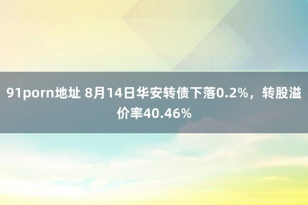 91porn地址 8月14日华安转债下落0.2%，转股溢价率40.46%