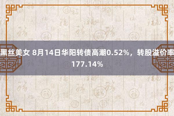 黑丝美女 8月14日华阳转债高潮0.52%，转股溢价率177.14%