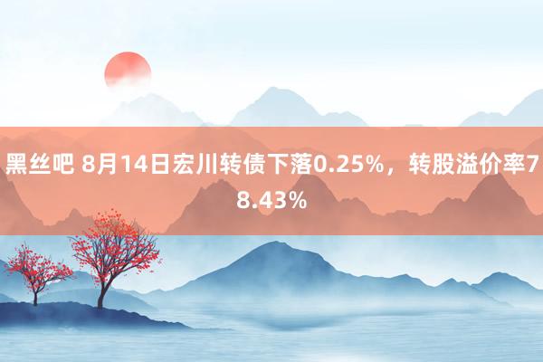 黑丝吧 8月14日宏川转债下落0.25%，转股溢价率78.43%