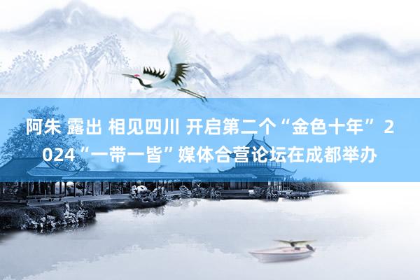 阿朱 露出 相见四川 开启第二个“金色十年” 2024“一带一皆”媒体合营论坛在成都举办