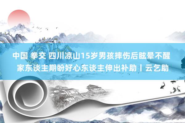 中国 拳交 四川凉山15岁男孩摔伤后眩晕不醒 家东谈主期盼好心东谈主伸出补助丨云乞助