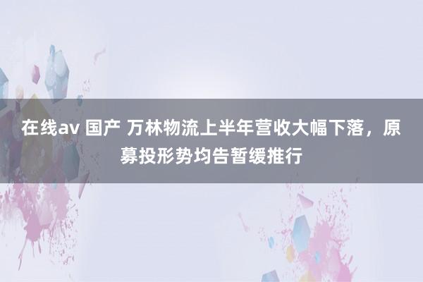 在线av 国产 万林物流上半年营收大幅下落，原募投形势均告暂缓推行