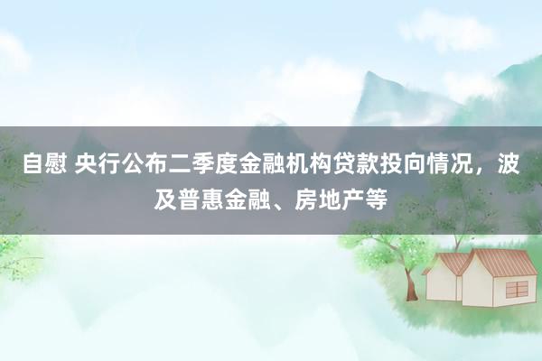 自慰 央行公布二季度金融机构贷款投向情况，波及普惠金融、房地产等