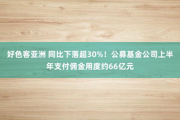 好色客亚洲 同比下落超30%！公募基金公司上半年支付佣金用度约66亿元