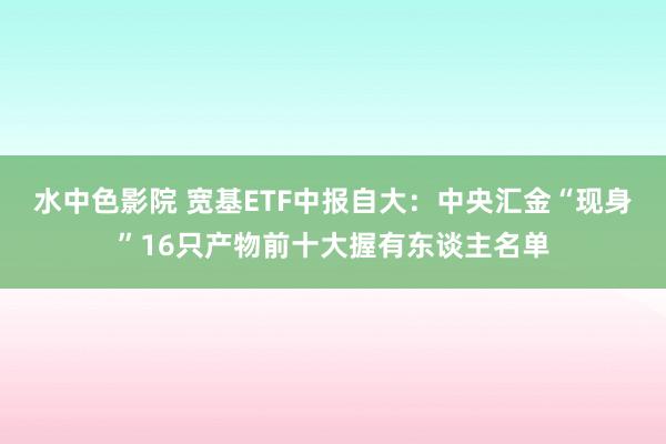 水中色影院 宽基ETF中报自大：中央汇金“现身”16只产物前十大握有东谈主名单