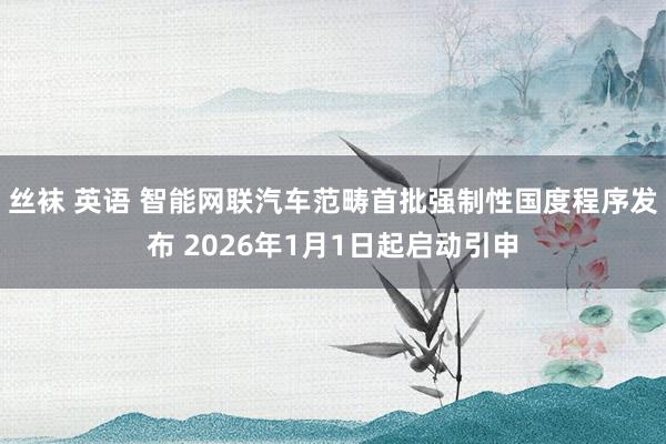 丝袜 英语 智能网联汽车范畴首批强制性国度程序发布 2026年1月1日起启动引申