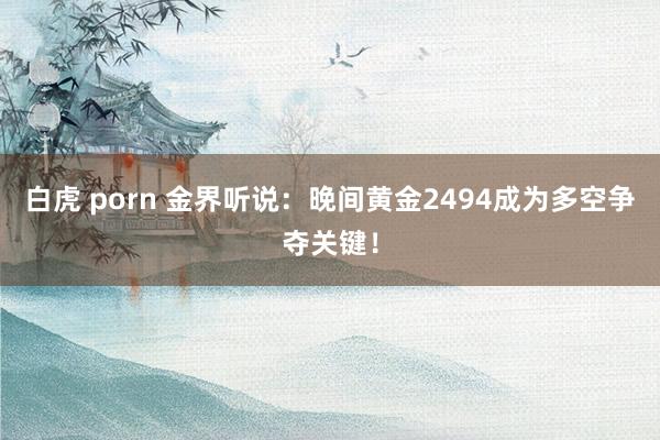 白虎 porn 金界听说：晚间黄金2494成为多空争夺关键！