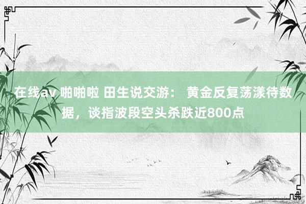 在线av 啪啪啦 田生说交游： 黄金反复荡漾待数据，谈指波段空头杀跌近800点