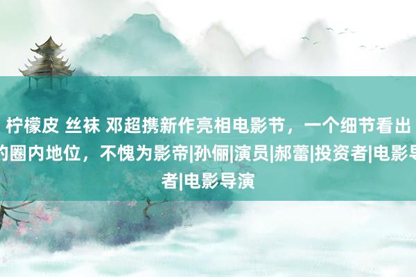 柠檬皮 丝袜 邓超携新作亮相电影节，一个细节看出他的圈内地位，不愧为影帝|孙俪|演员|郝蕾|投资者|电影导演