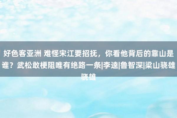 好色客亚洲 难怪宋江要招抚，你看他背后的靠山是谁？武松敢梗阻唯有绝路一条|李逵|鲁智深|梁山骁雄